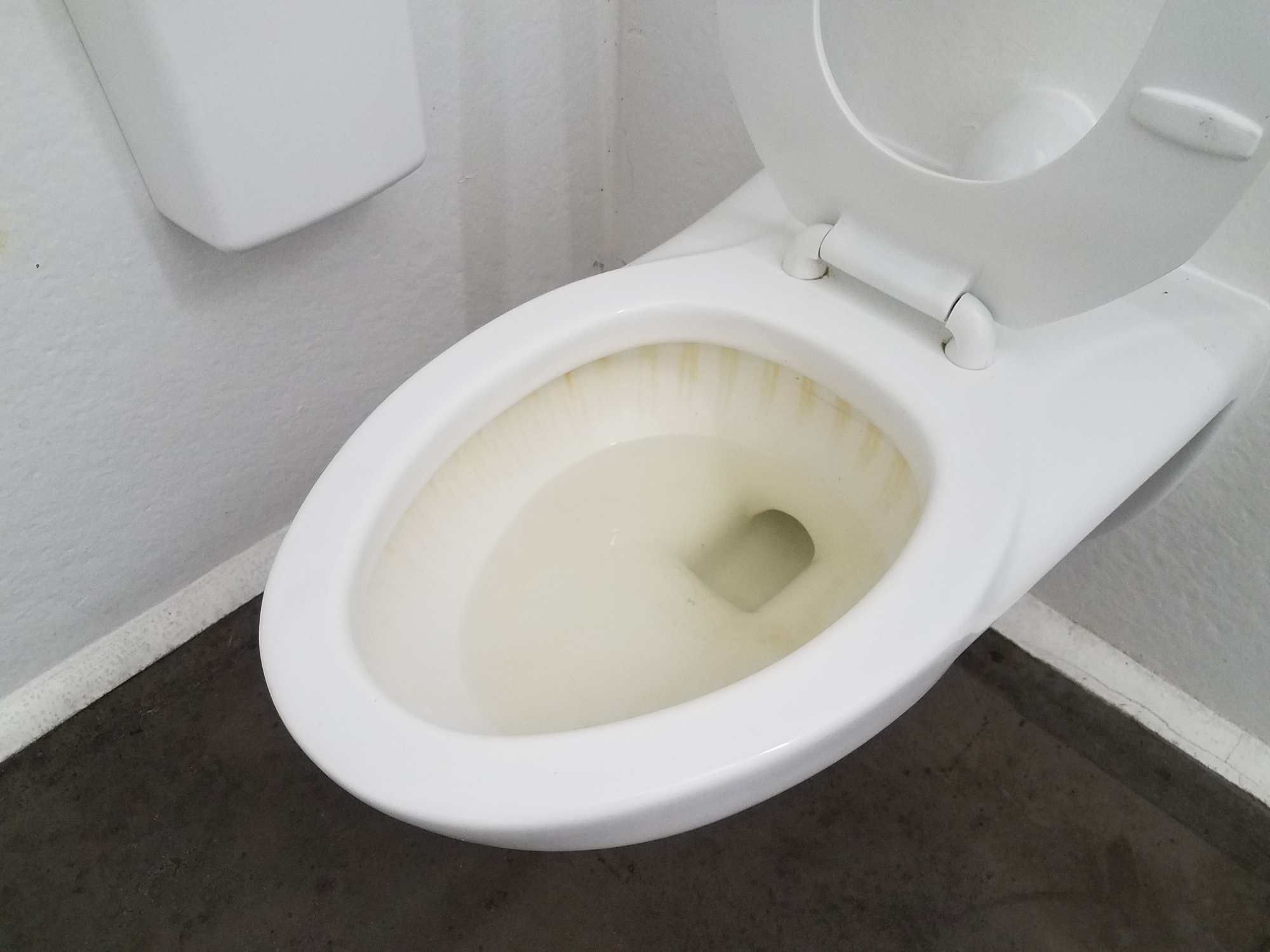 rusty toilet bowl phoenix az