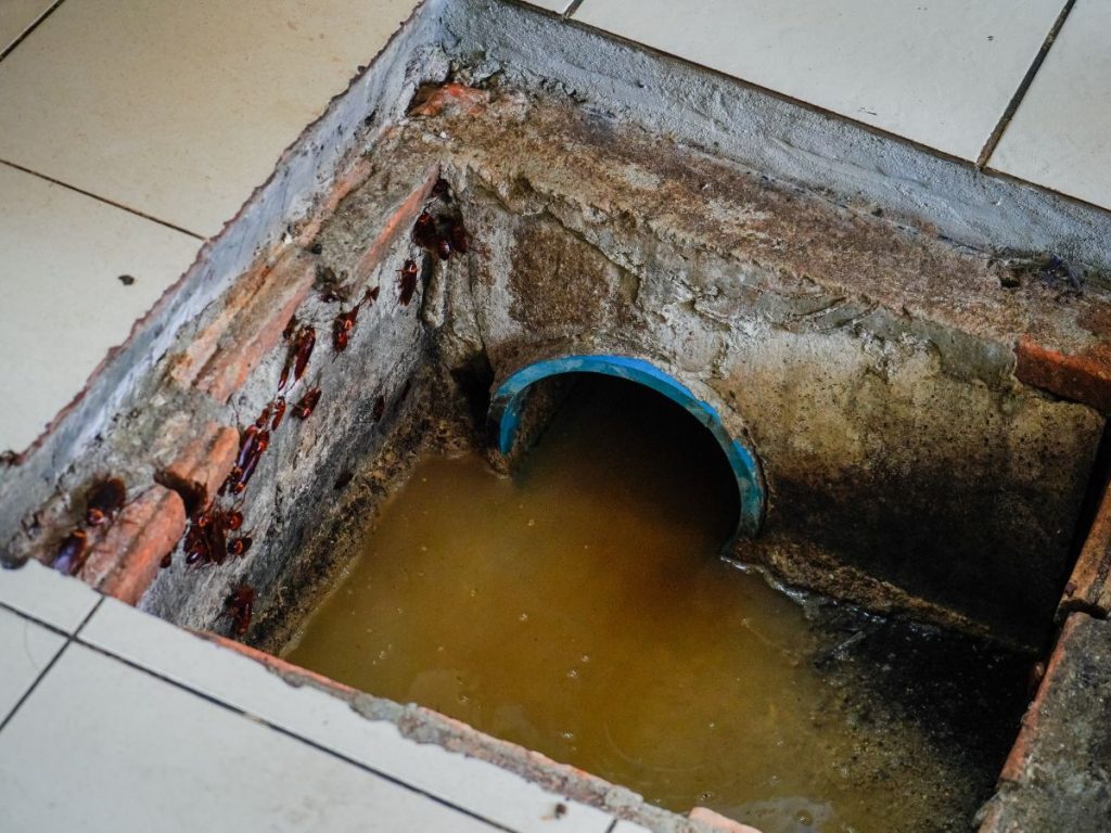 grease-trap-inspection