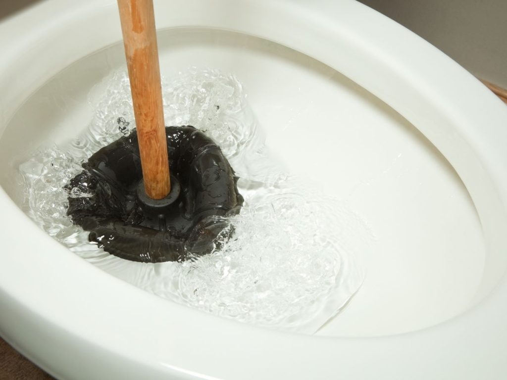 toilet-being-plunged